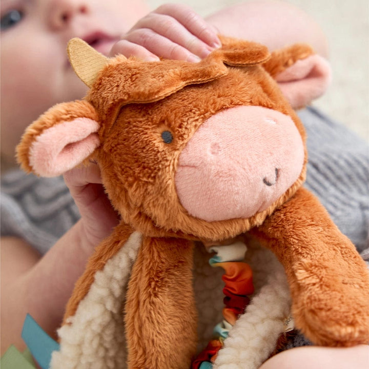 Itzy Ritzy Teether *New* Highland Cow Itzy Friends Lovey Plush