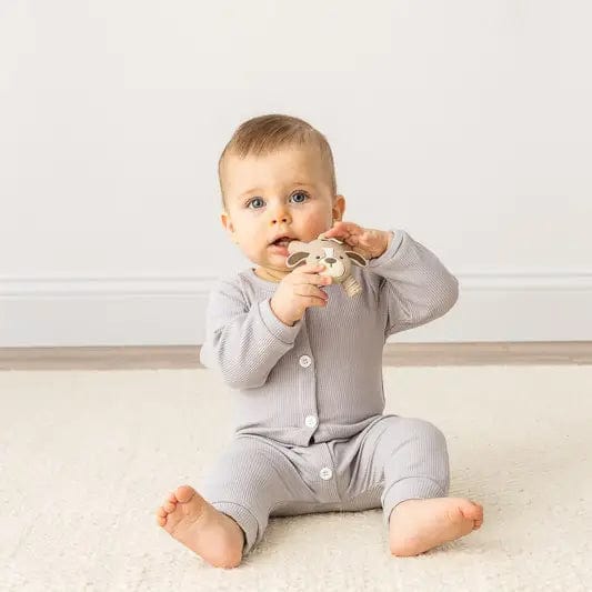 Itzy Ritzy Teether Ritzy Baby Molar Teether - Puppy