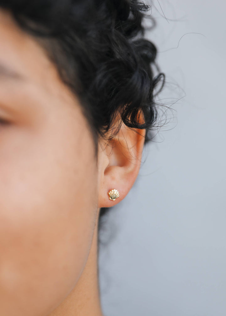 JaxKelly Earrings Seashell - Earring