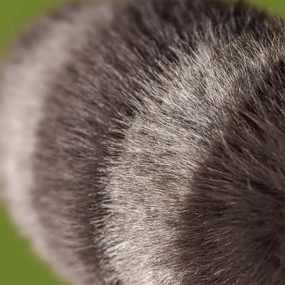 Jellycat Gifts Trixiwoo Raccoon | Jellycat