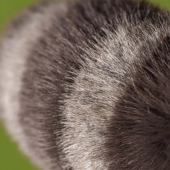 Jellycat Gifts Trixiwoo Raccoon | Jellycat