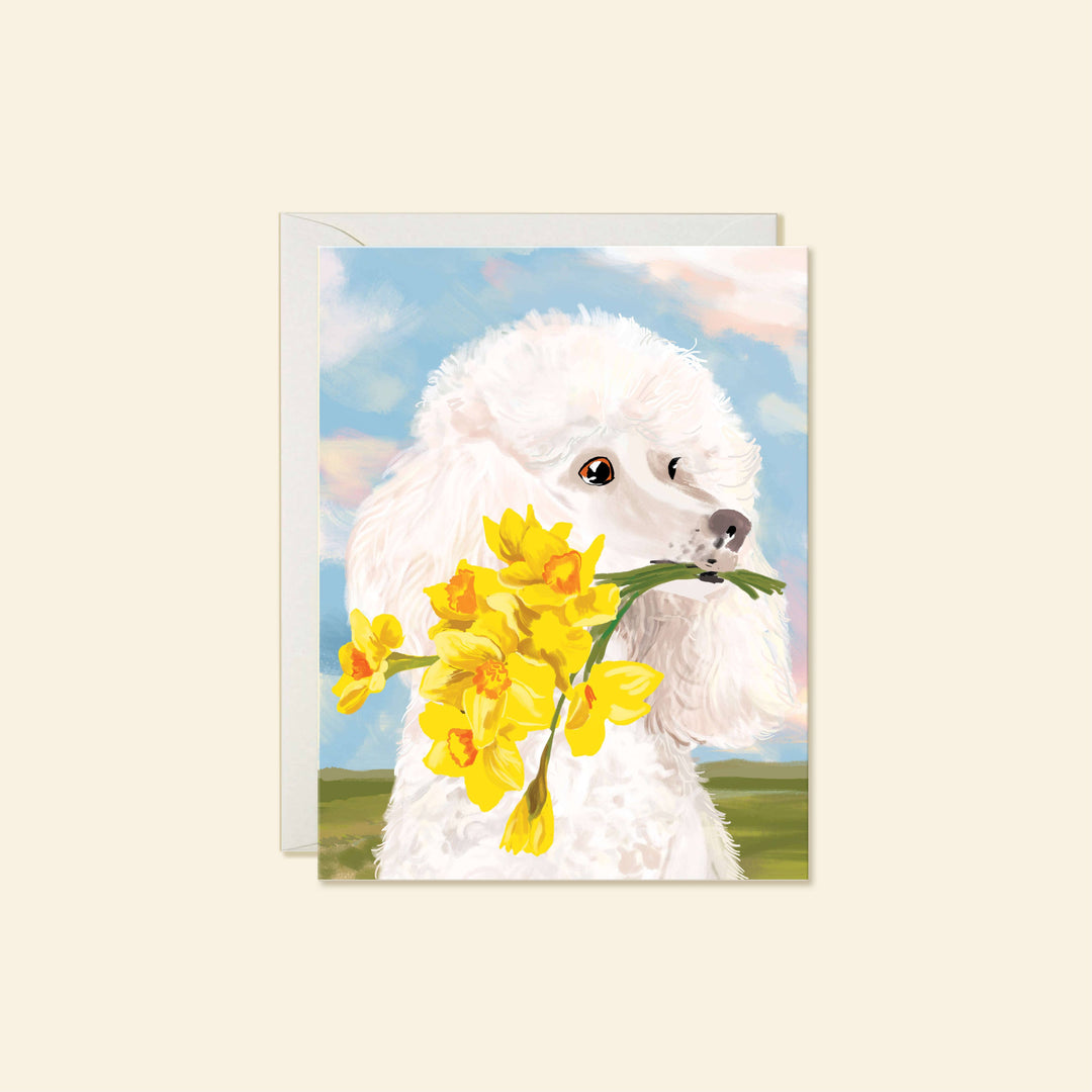 Karen Schipper Cards Poodle – Sweet Charming Daffodil Dog Everyday Greeting Card