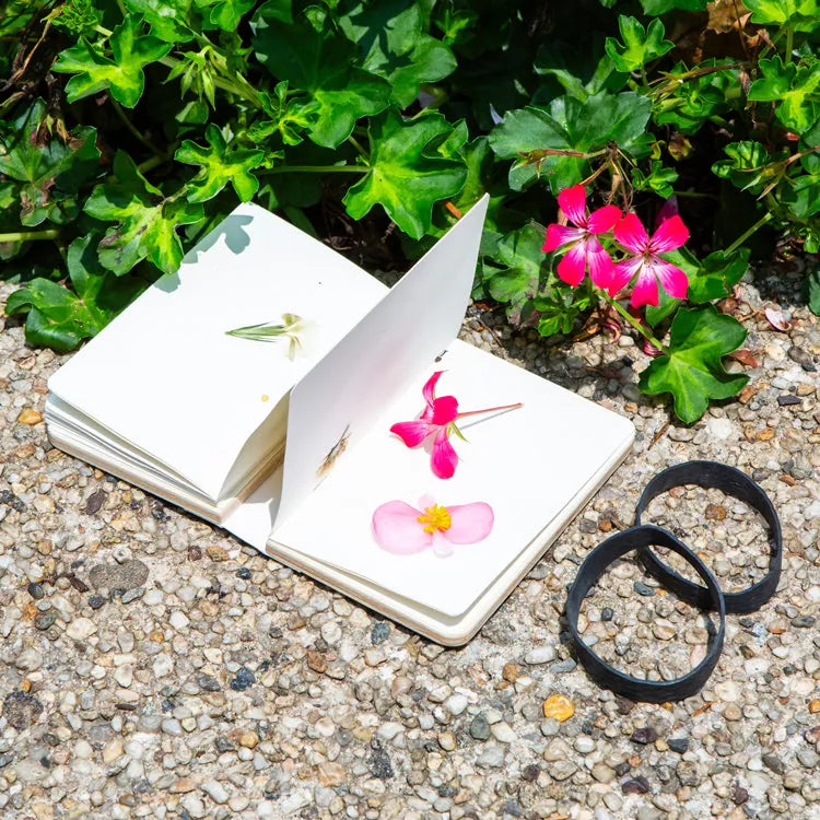 Kikkerland Gifts Field Flower Press