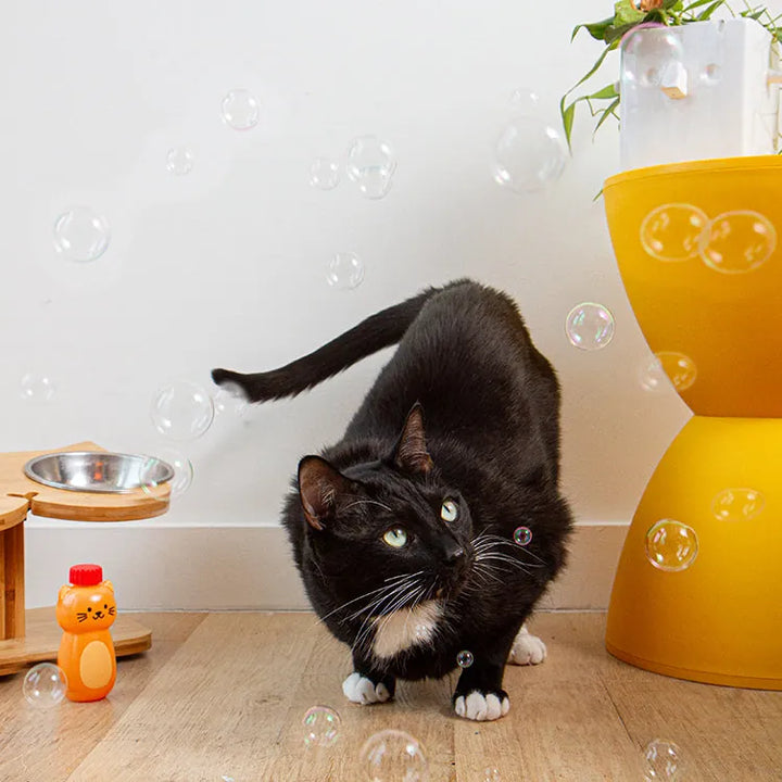 Kikkerland Gifts Kiko Catnip Bubbles