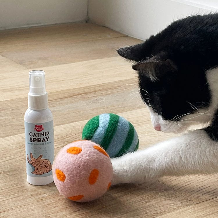 Kikkerland Gifts Kiko Play & Spray Catnip Spray
