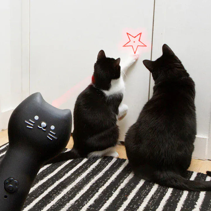 Kikkerland Gifts Kiko Rechargeable Pounce & Play Laser