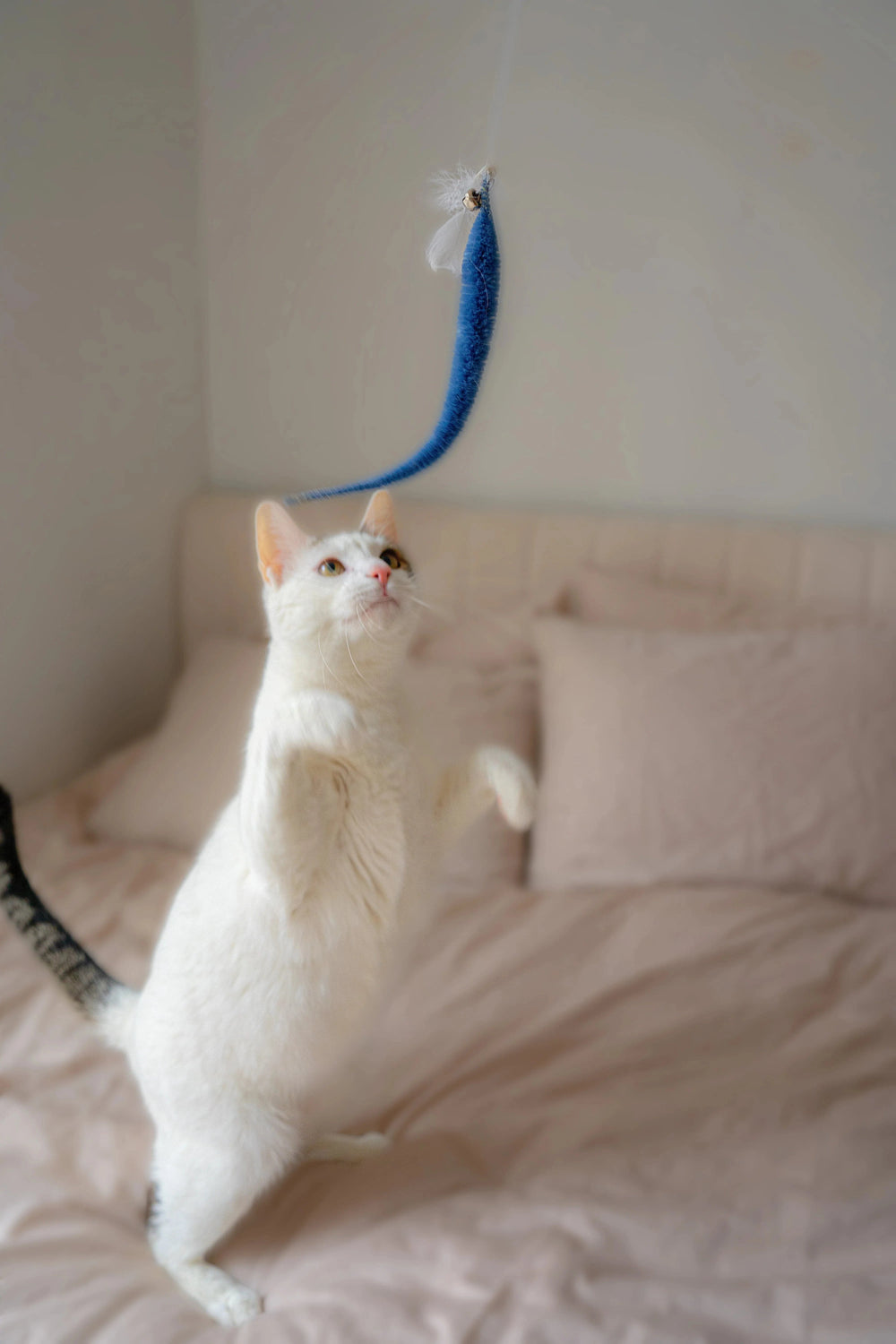 Kikkerland Gifts Kitty Teaser Wand
