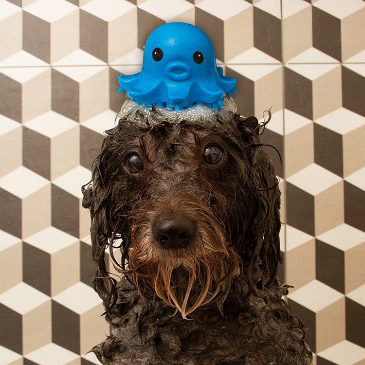 Kikkerland Gifts Kobe Octopus Grooming Brush