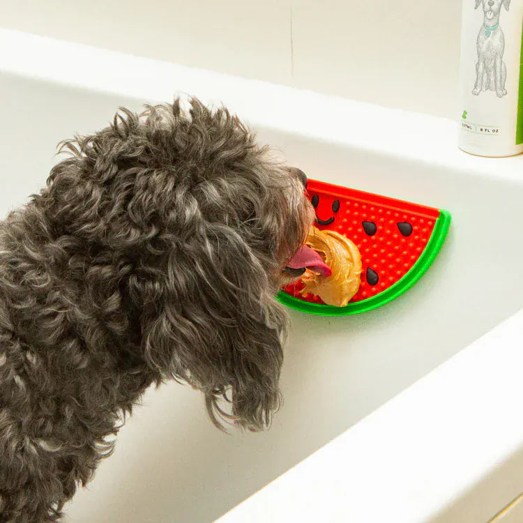 Kikkerland Gifts Kobe Watermelon Lick Mat