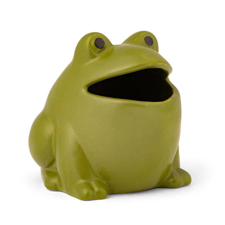 Kikkerland Home Froggy Fly Trap