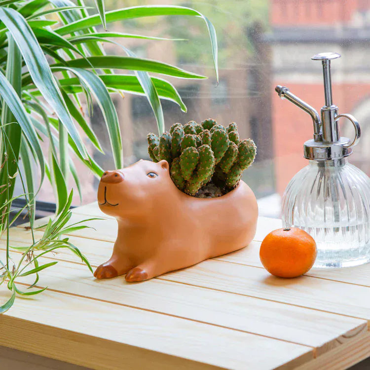 Kikkerland Plants Cappy the Capybara Planter Large