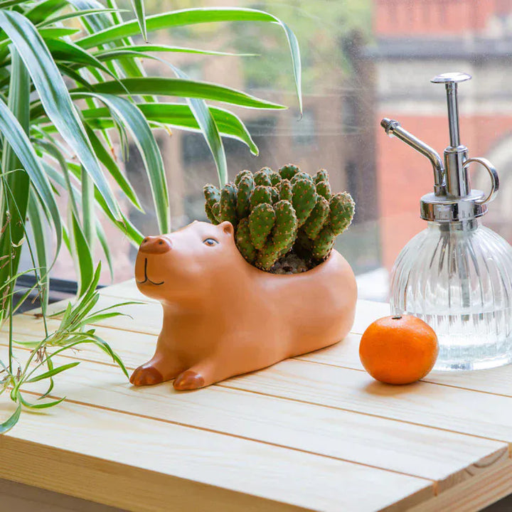 Kikkerland Plants Cappy the Capybara Planter Large