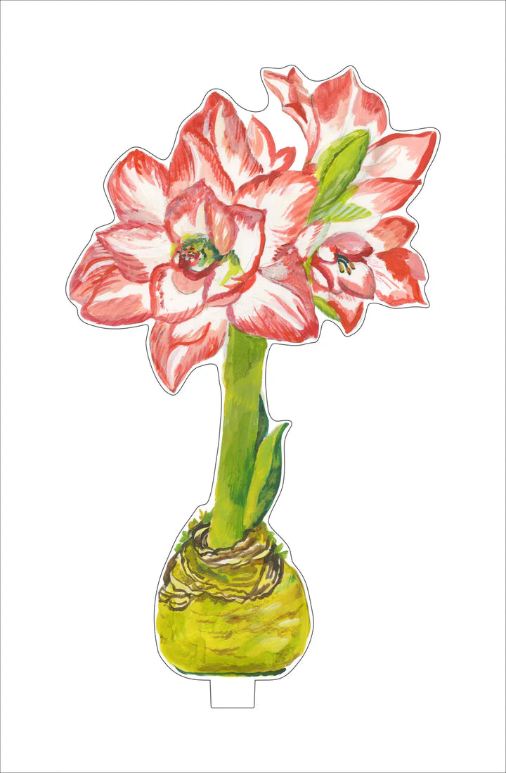 Kimberly Hodges Art and Design Home Blossom Peacock Amaryllis Small Acrylic Flower