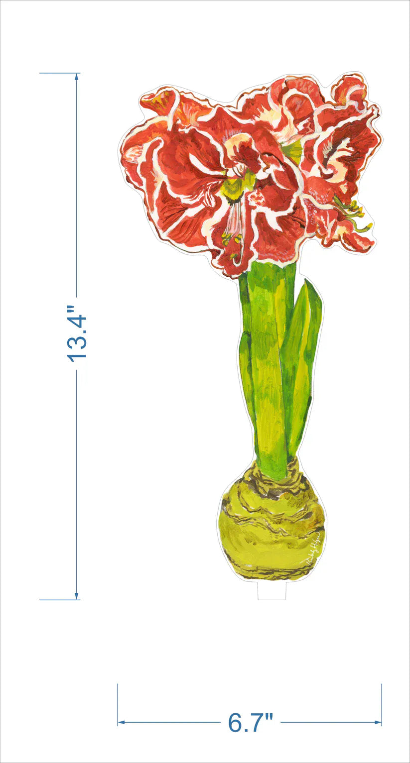 Kimberly Hodges Art and Design Home Ruffle Amaryllis Large Acrylic Flower