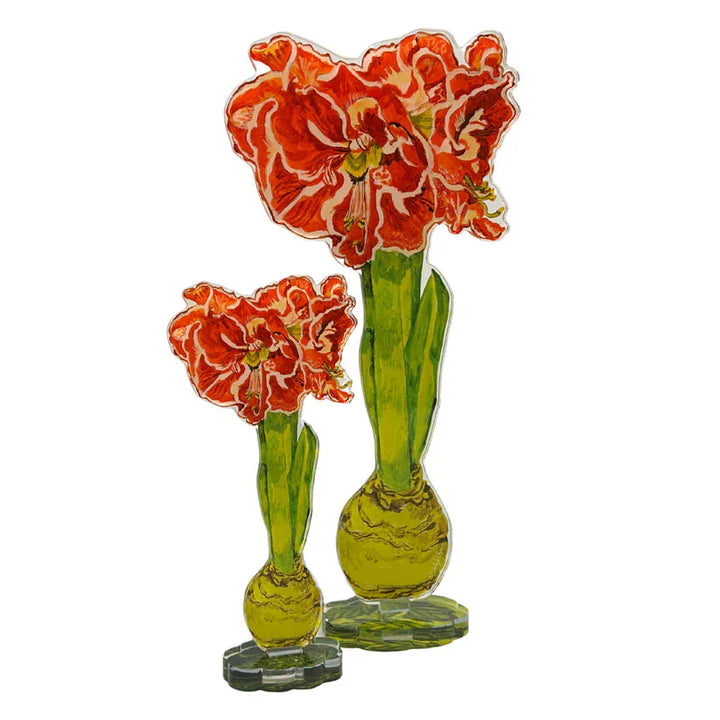 Kimberly Hodges Art and Design Home Ruffle Amaryllis Large Acrylic Flower