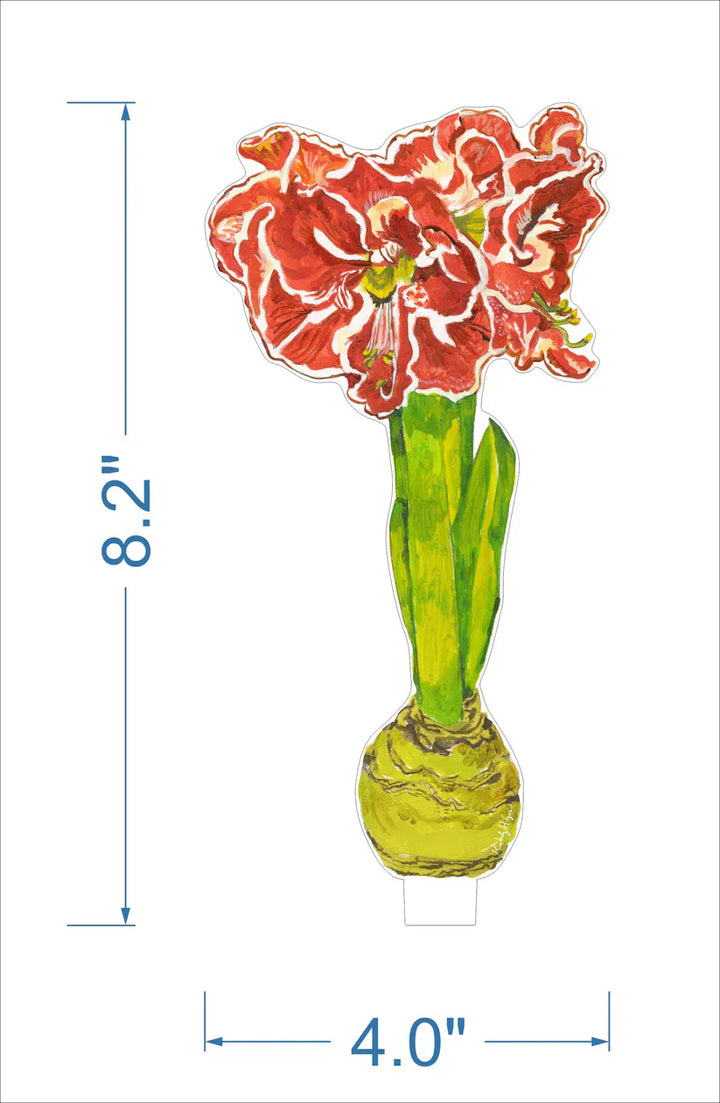 Kimberly Hodges Art and Design Home Ruffle Amaryllis Small Acrylic Flower
