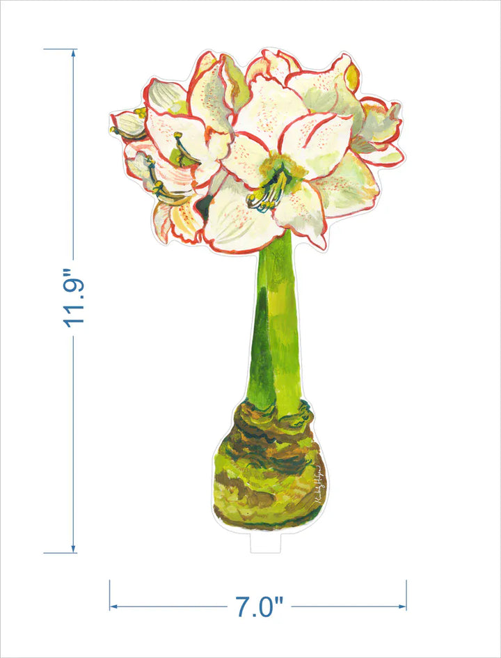 Kimberly Hodges Art and Design Home White Amaryllis Large Acrylic Flower