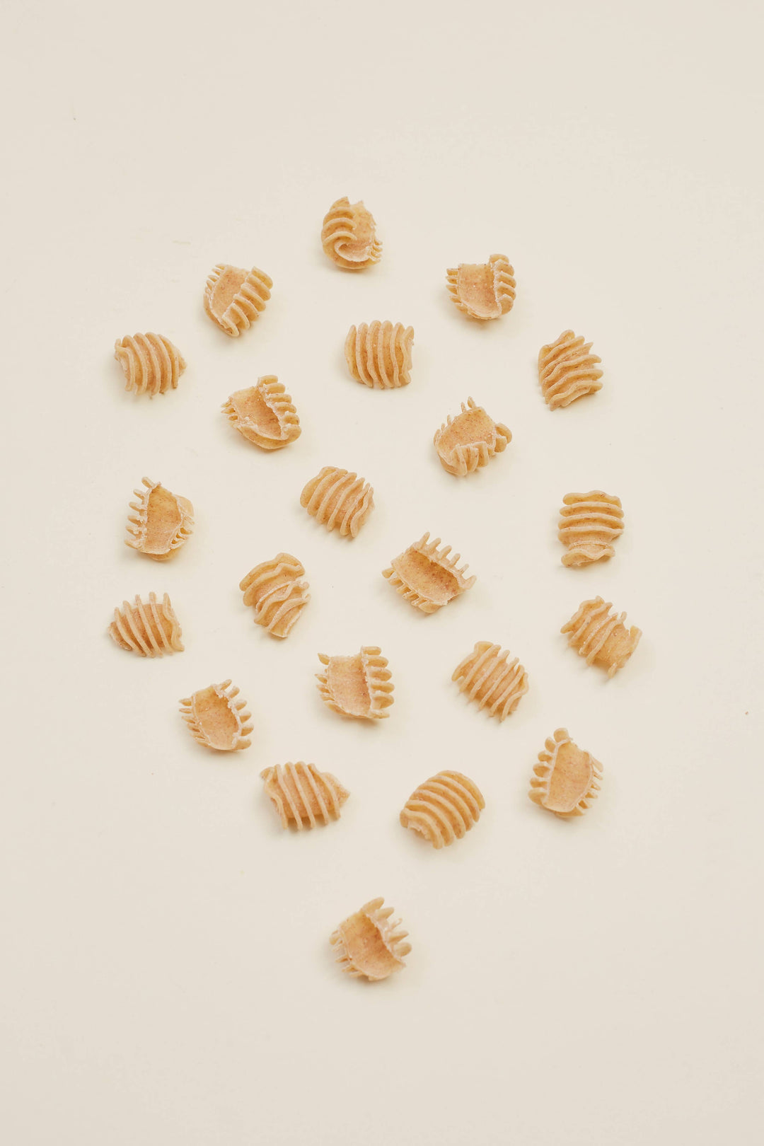 L'Isolina Pasta Home Regenerative Whole-Grain Radiatori - L'Isolina “Farmed for Flavor” Pasta