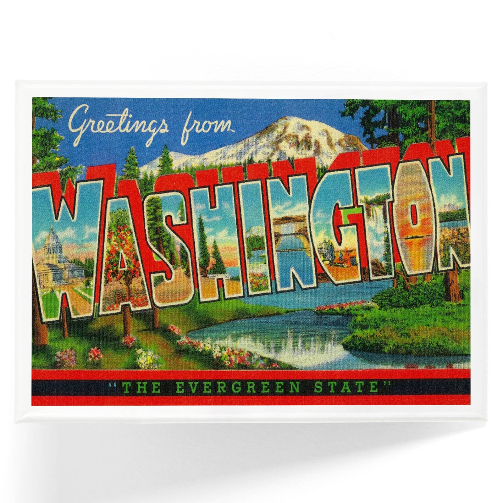 Lantern Press Gifts Magnet Greetings from Washington Evergreen State
