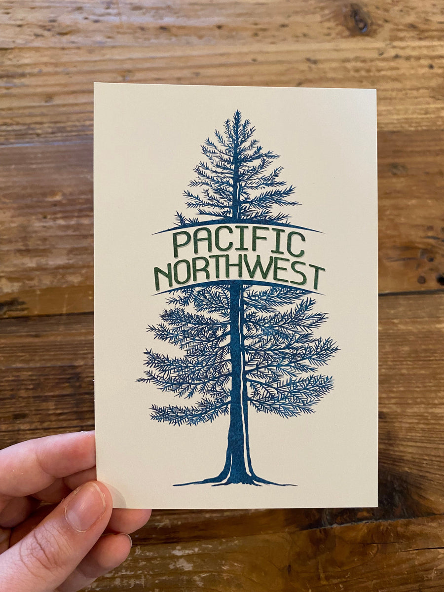 Lantern Press Postcard PNW Blue Spruce Tree Postcard