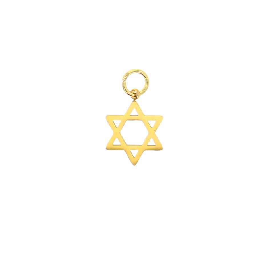 Lotus Jewelry Studio Fashion Gold Star of David Charm