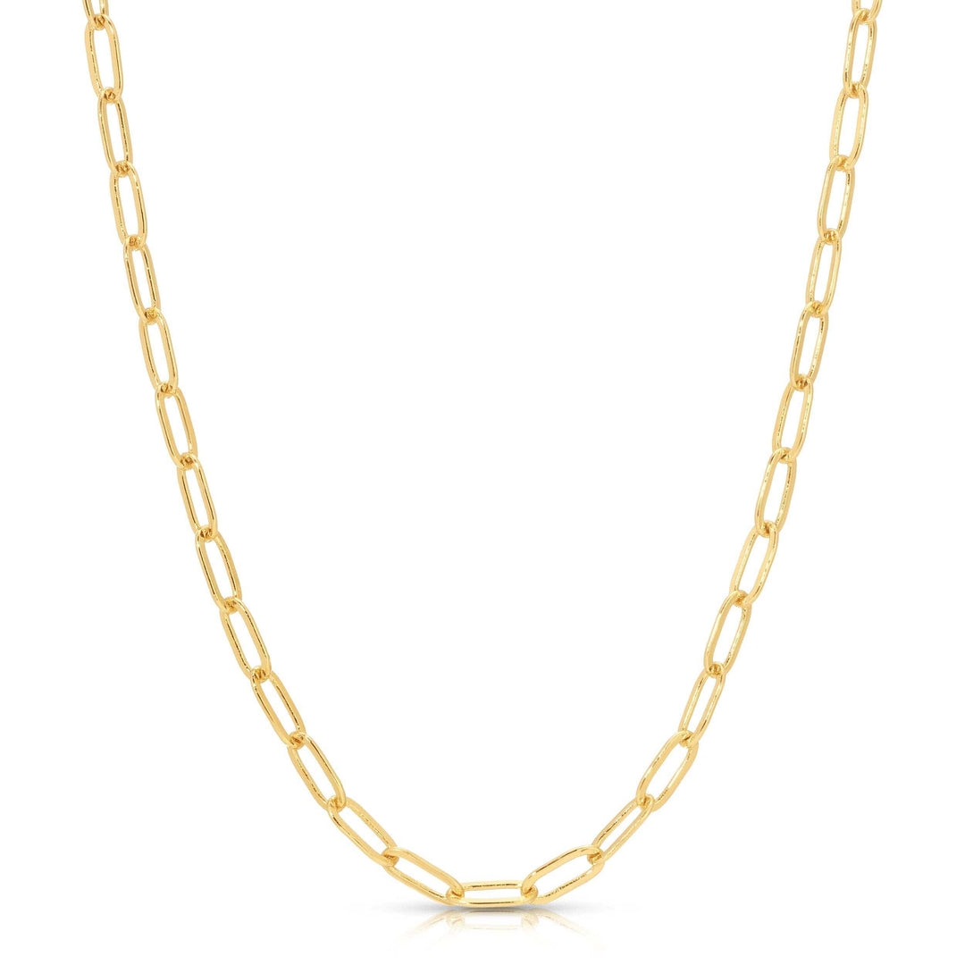 Lucky Feather Fashion Charm Garden - Gold Paperclip Chain (18-20 in)