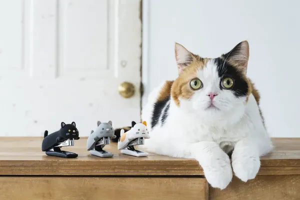 MDS Paper Cat Stapler