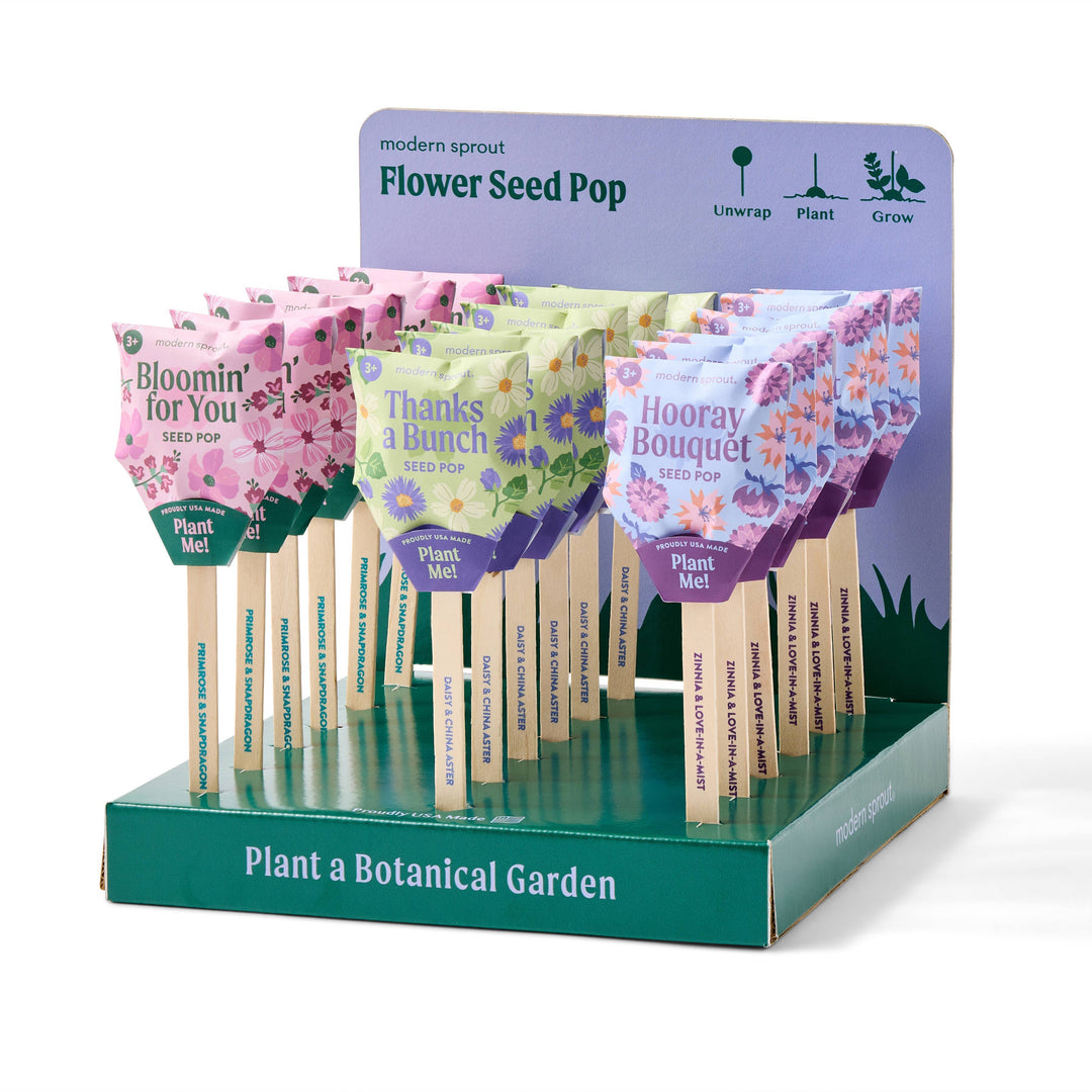 Modern Sprout Flower Seed Pops