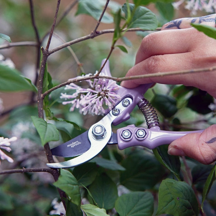 Modern Sprout Gardening Gardening Pruners - Lavender