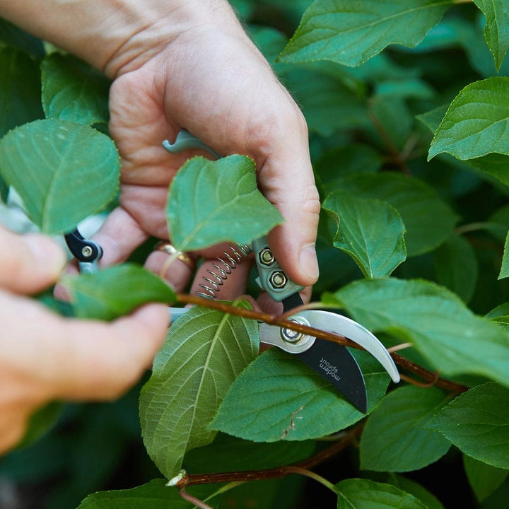 Modern Sprout Gardening Gardening Pruners - Sage