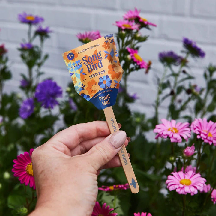 Modern Sprout Gardening Pollinator Seed Pops