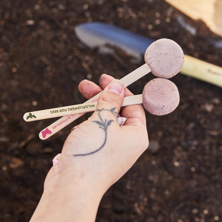 Modern Sprout Gardening Pollinator Seed Pops