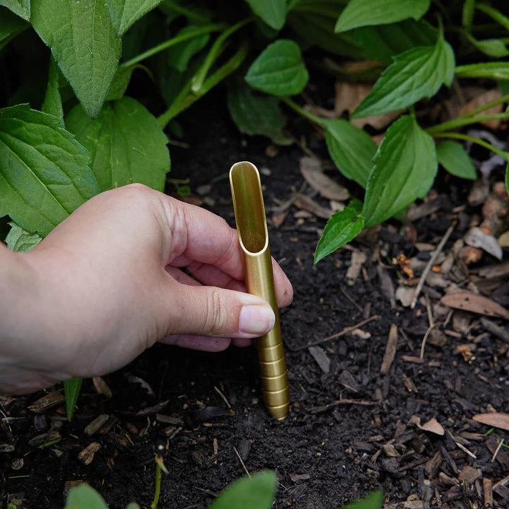 Modern Sprout Gardening Seed Library - Enchanted Garden