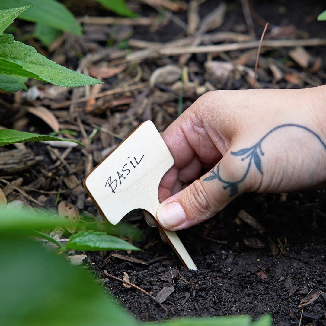 Modern Sprout Gardening Seed Library - Enchanted Garden