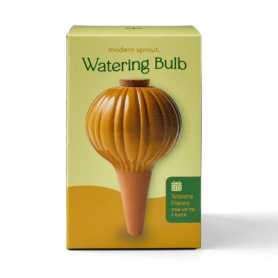 Modern Sprout Plants Mustard Terracotta Watering Bulb