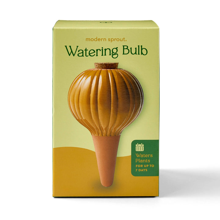Modern Sprout Plants Mustard Terracotta Watering Bulb