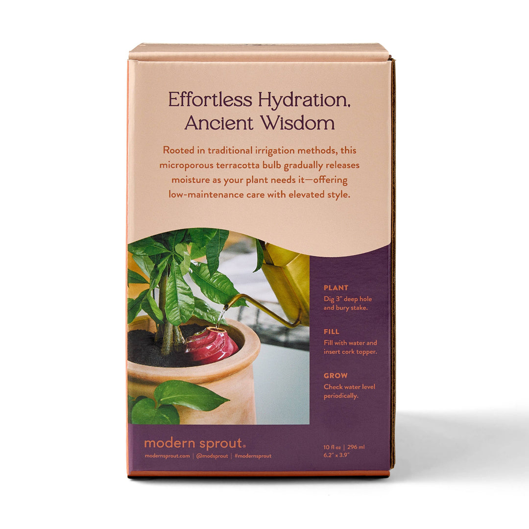 Modern Sprout Plants Terracotta Watering Bulb