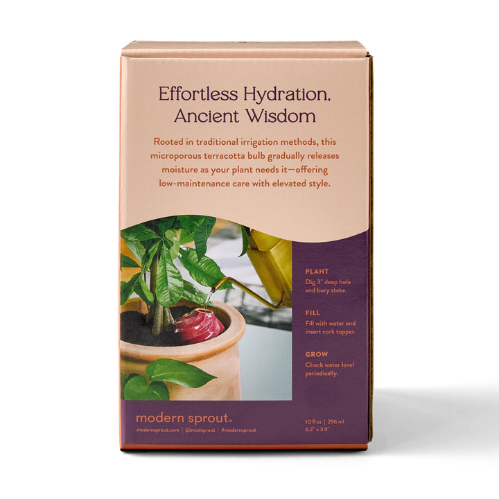 Modern Sprout Plants Terracotta Watering Bulb