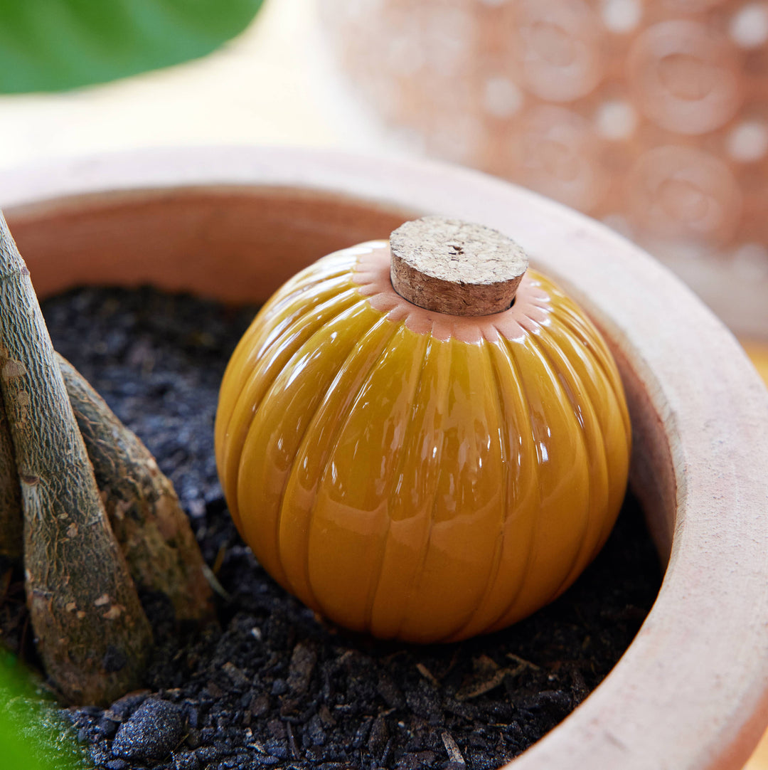 Modern Sprout Plants Terracotta Watering Bulb