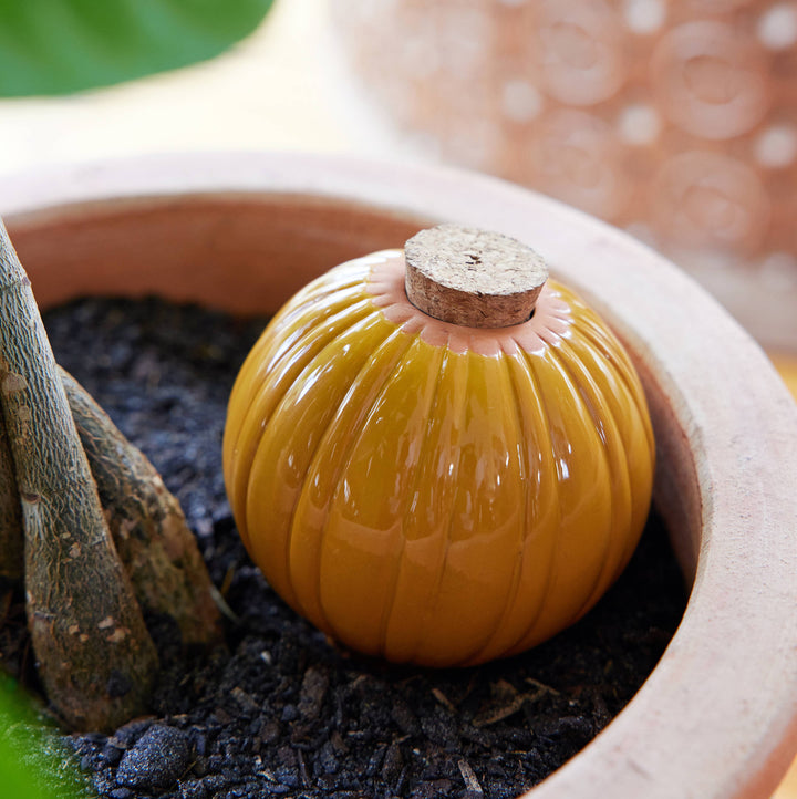 Modern Sprout Plants Terracotta Watering Bulb