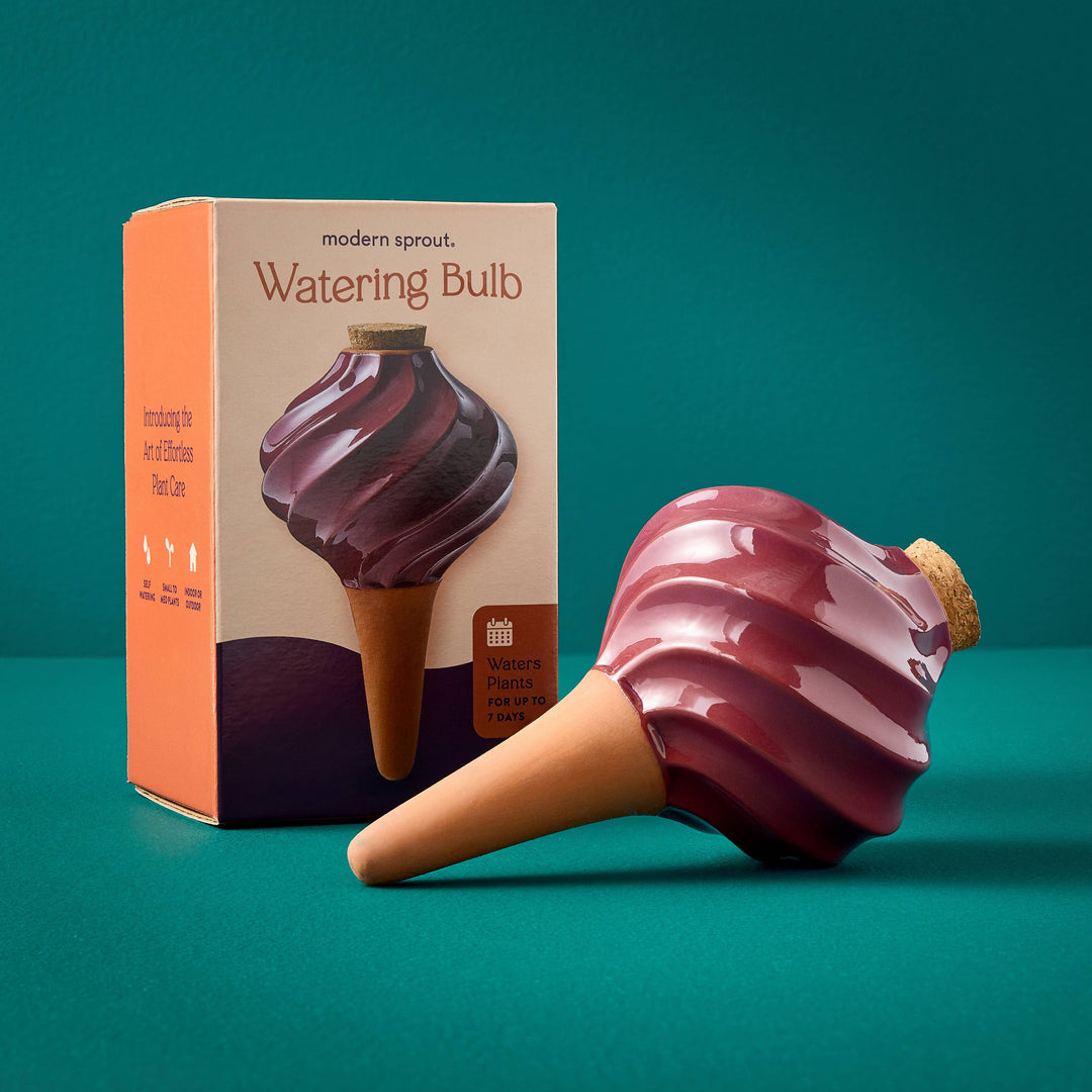 Modern Sprout Plants Terracotta Watering Bulb