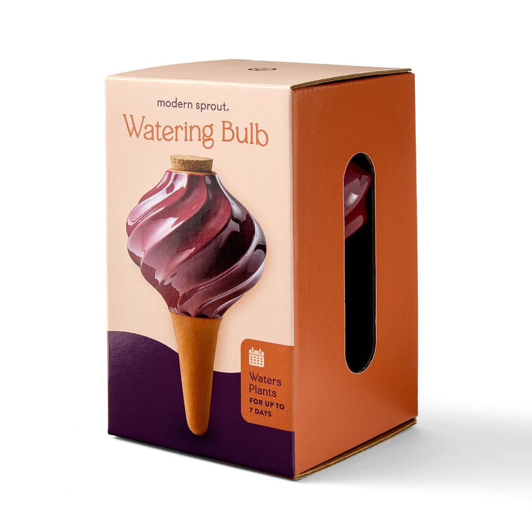 Modern Sprout Plants Terracotta Watering Bulb