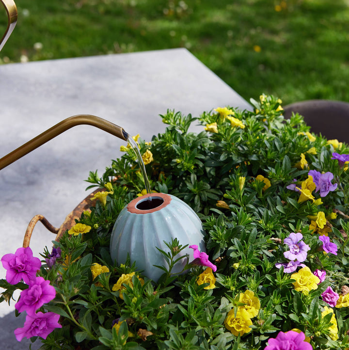 Modern Sprout Plants Terracotta Watering Bulb