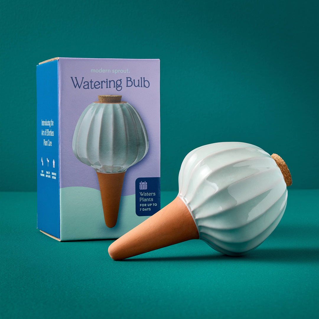 Modern Sprout Plants Terracotta Watering Bulb