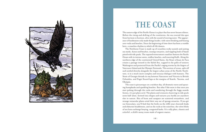 Mountaineers Books Gifts Cascade of Life