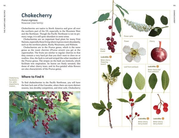 Mountaineers Books Gifts Edible Plants of the Pacific Northwest