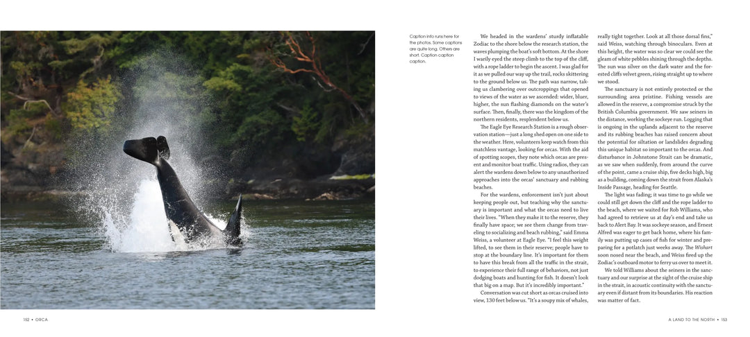 Mountaineers Books Gifts Orca: Shared Waters, Shared Home