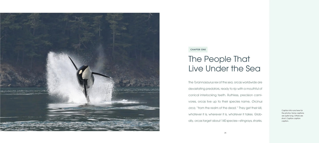Mountaineers Books Gifts Orca: Shared Waters, Shared Home
