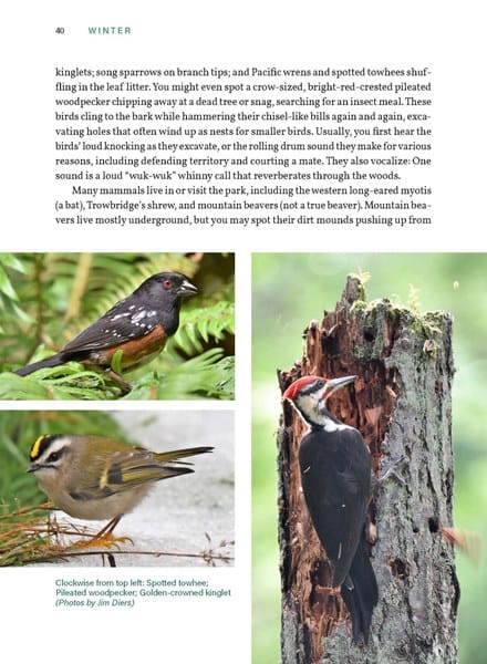 Mountaineers Books Gifts Seattle Field Guide