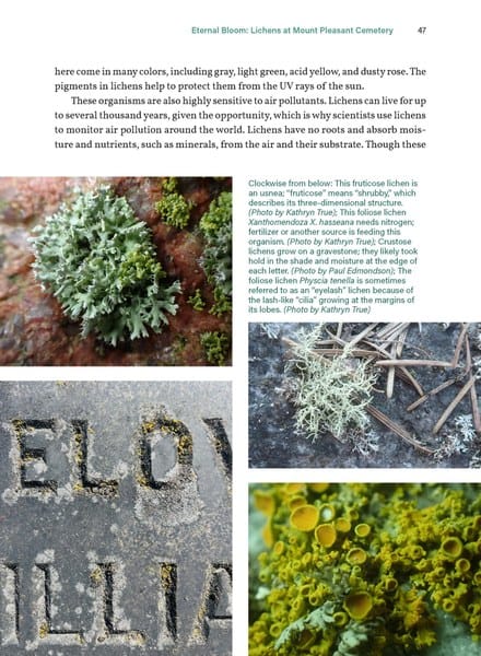 Mountaineers Books Gifts Seattle Field Guide